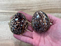 Pill Box - Tiger Cowry
