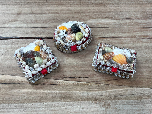 Box - Assorted Shells