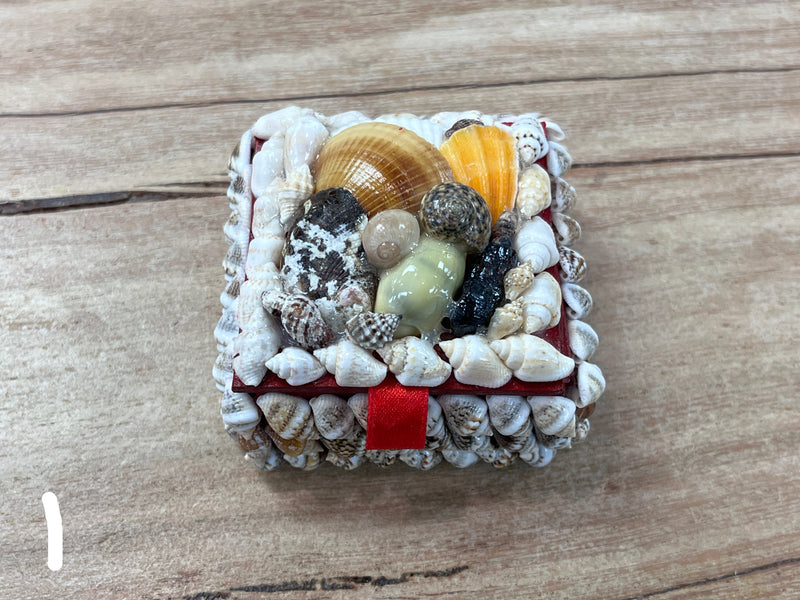 Box - Assorted Shells