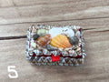 Box - Assorted Shells