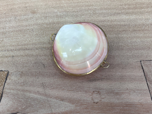 Pill Box - Codakia Shell