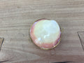 Pill Box - Codakia Shell
