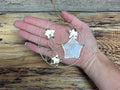 Ornament - Capiz Circle & Stars