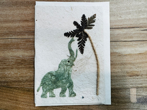 Card - nature flowers - ELEPHANT PALM