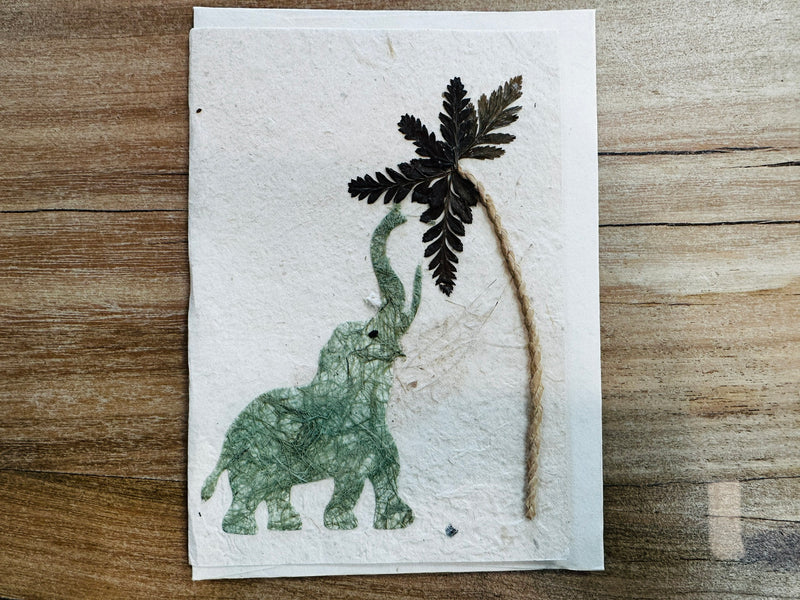 Card - nature flowers - ELEPHANT PALM