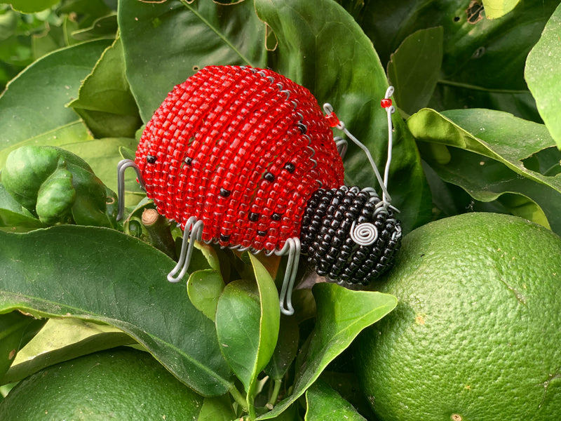 Beaded ladybug