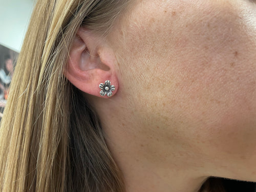 Earrings - silver studs lg